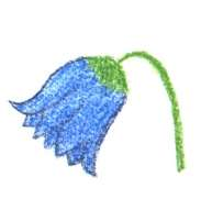img9.png
