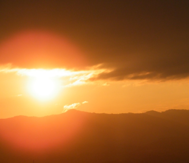 img11.jpg