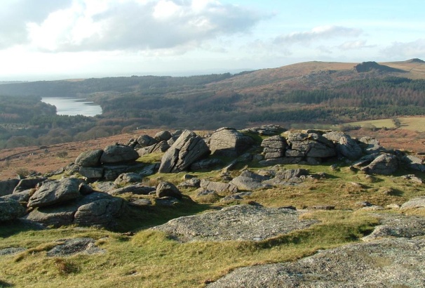 img7.jpg