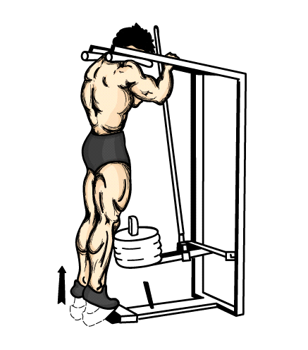 img10.png