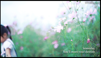 img25.png