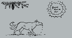 img17.png
