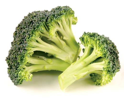 img13.jpg