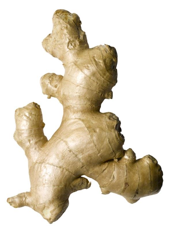 img23.jpg