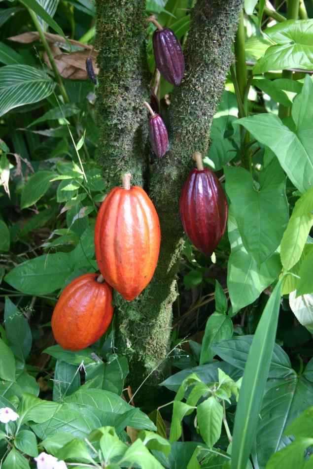 img25.jpg
