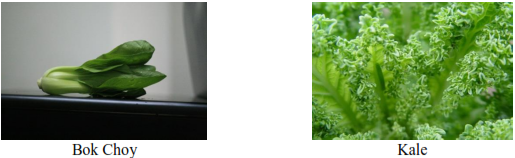 img7.png