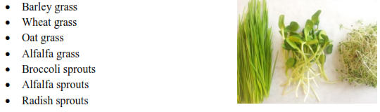 img9.png