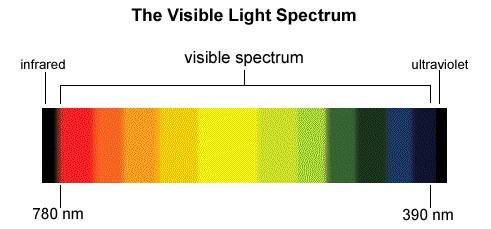 img31.png
