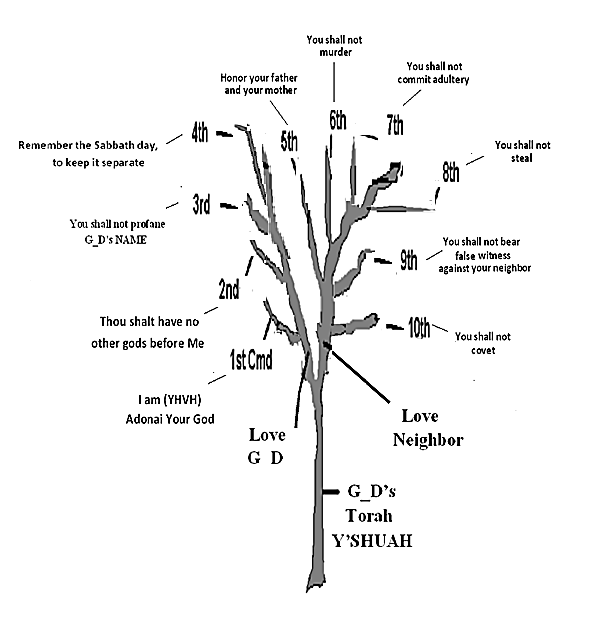 /book-images/1418315968/tmp_90f5ede378456a6b899b30b451de005c_opIgwI_html_36343c78.png