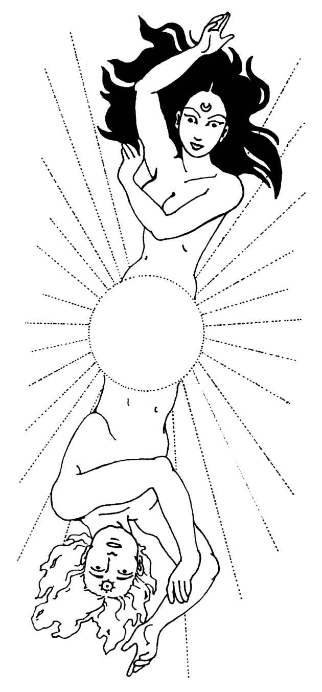 img6.jpg