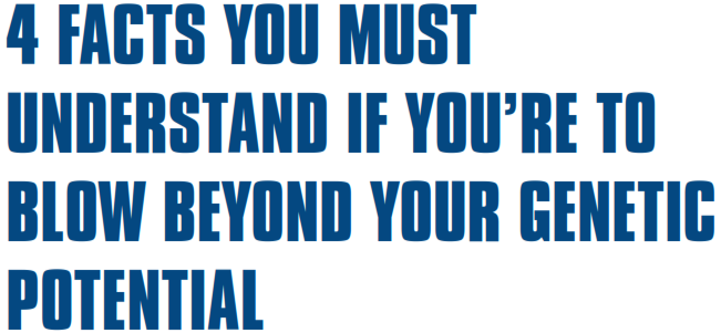 img4.png