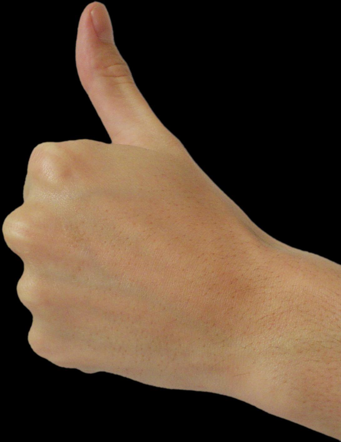 img2.png