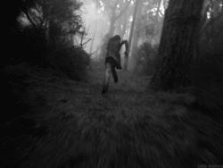 img10.jpg
