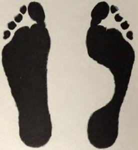 img13.png