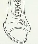 img5.png