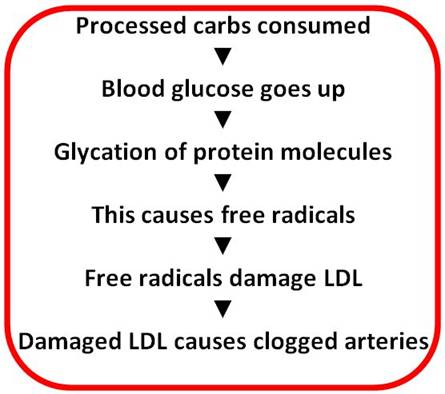 processedCarbs.jpg