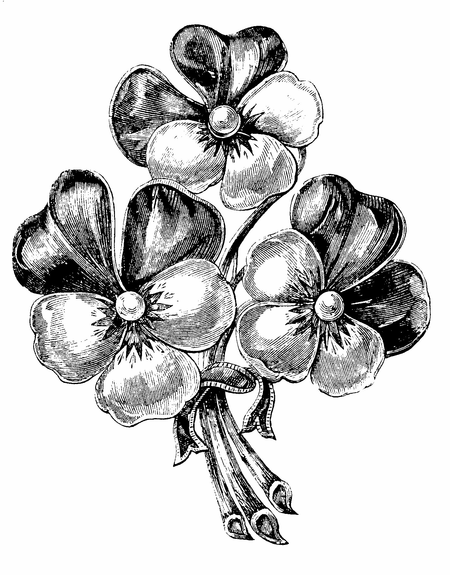 img12.png