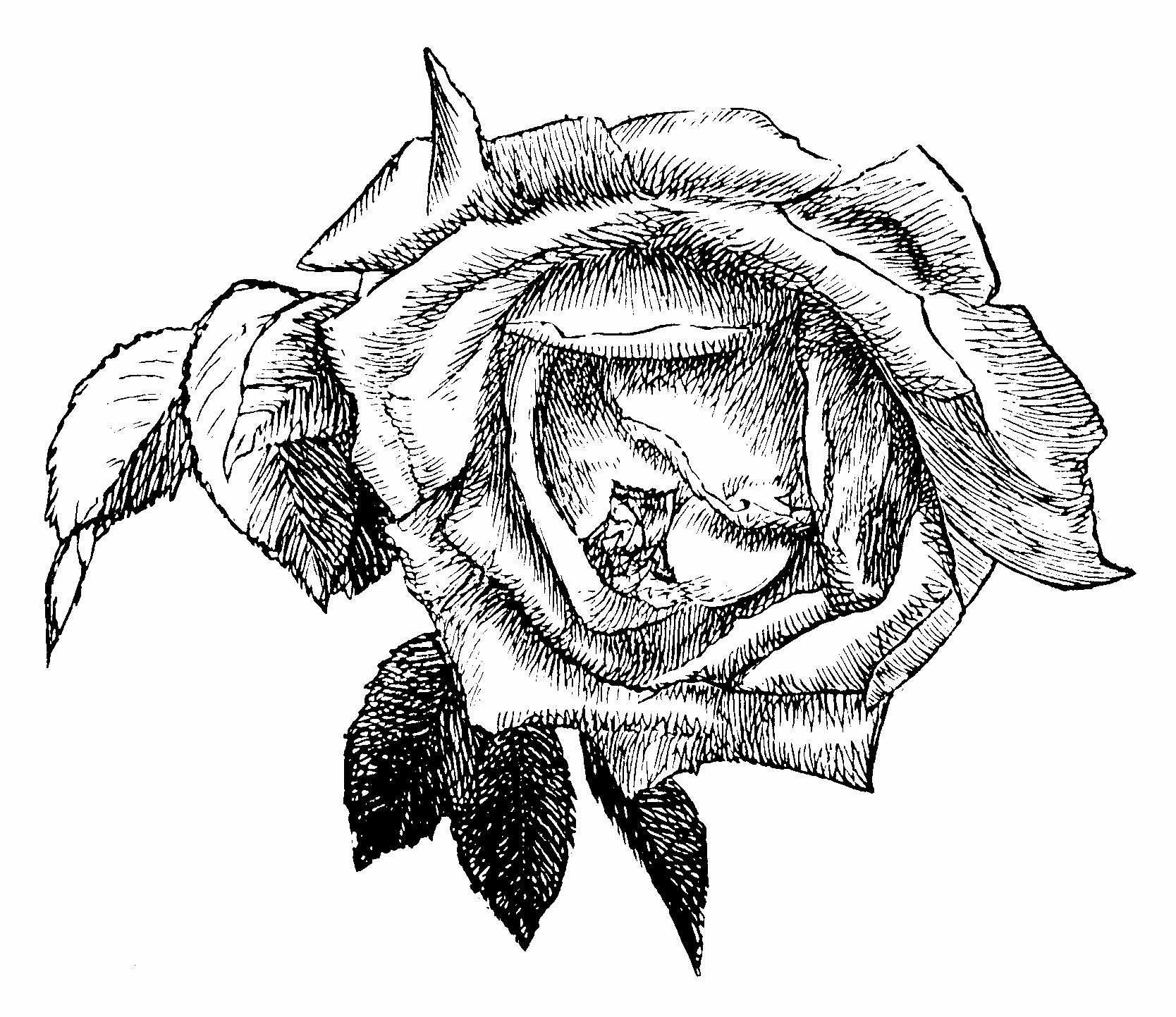 img25.png