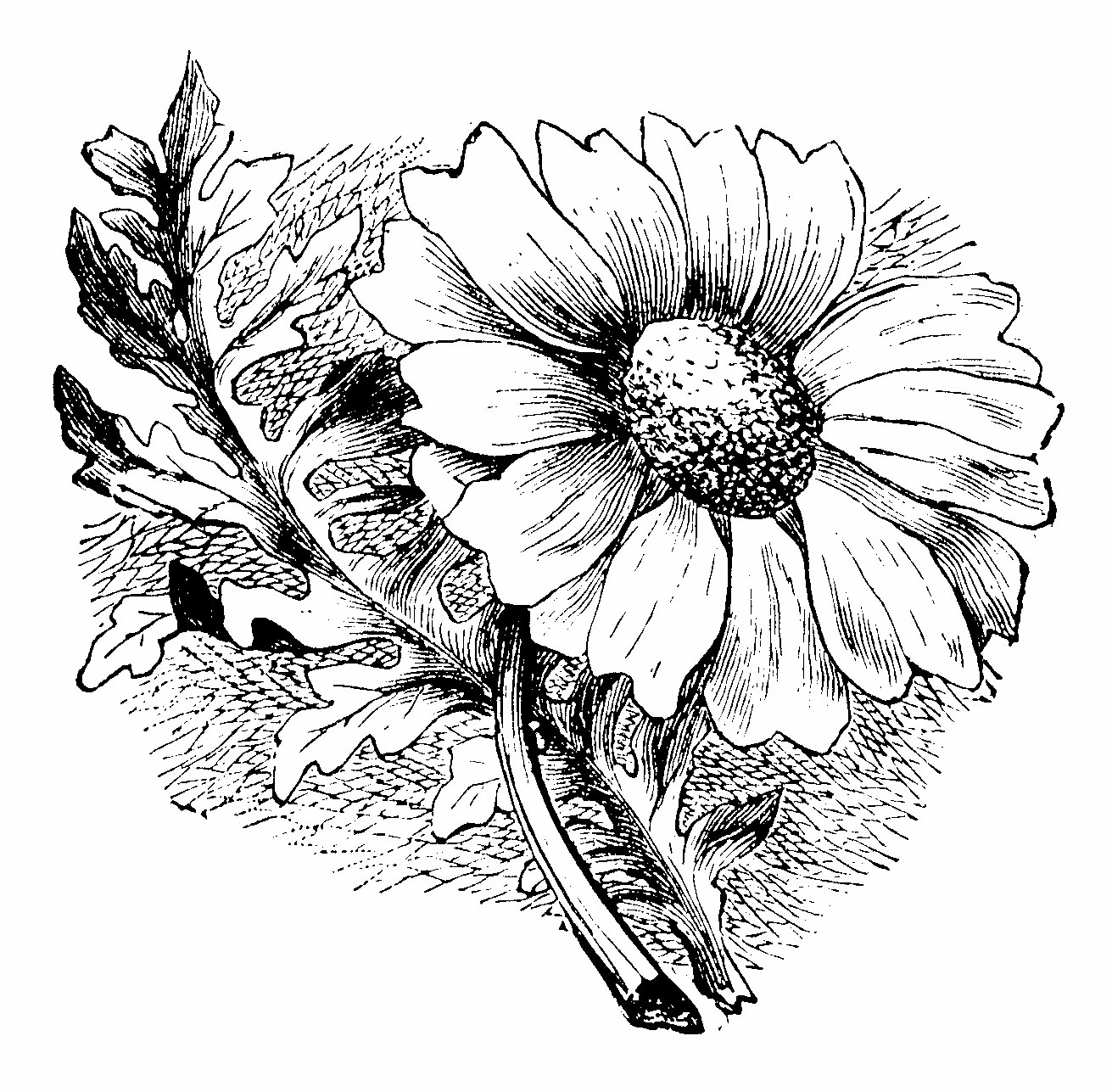 img27.png