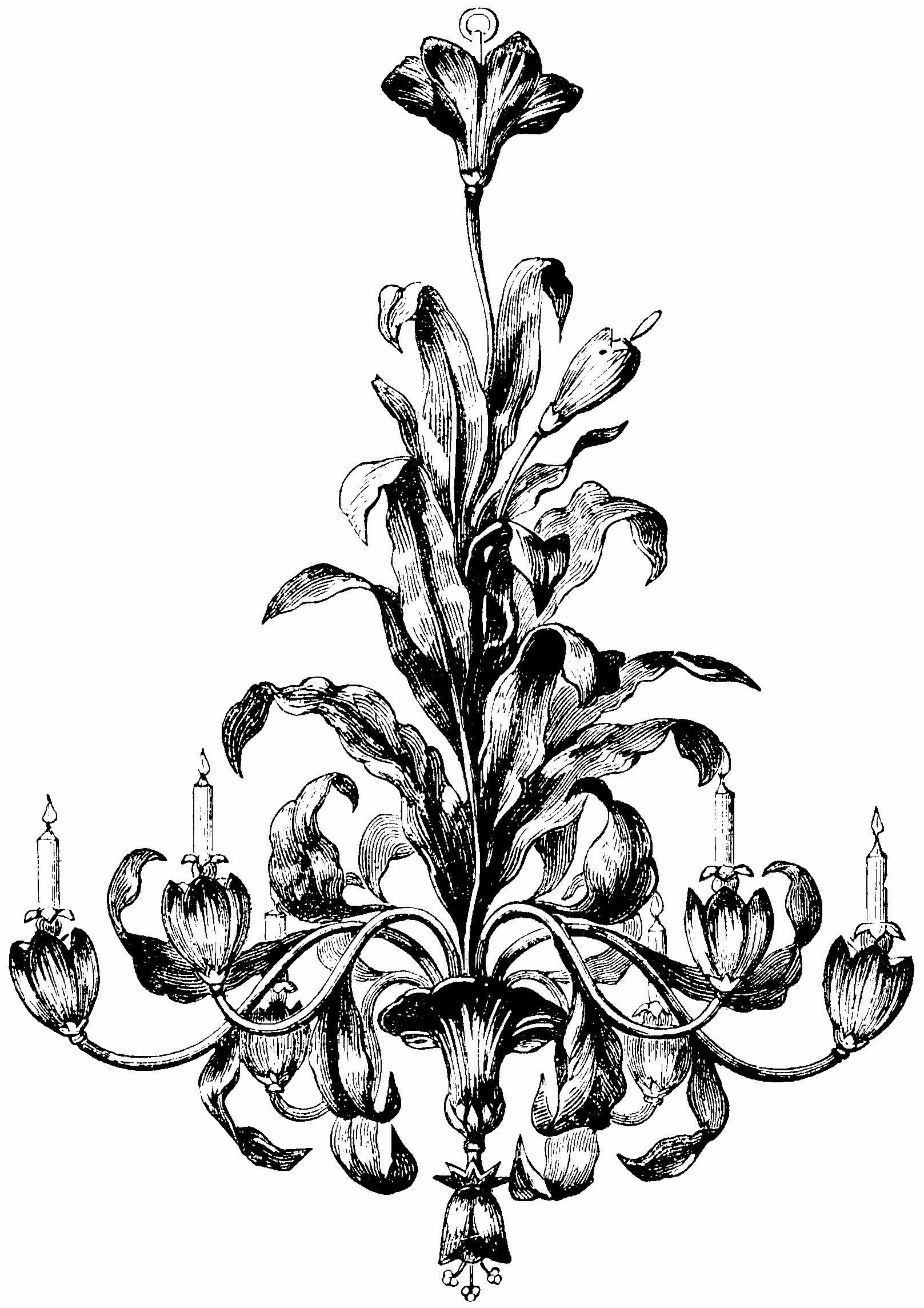 img5.png