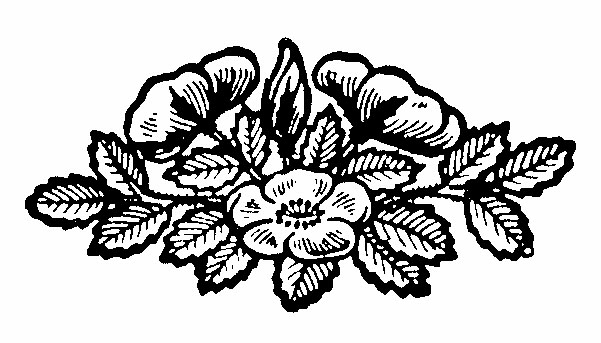 img6.png