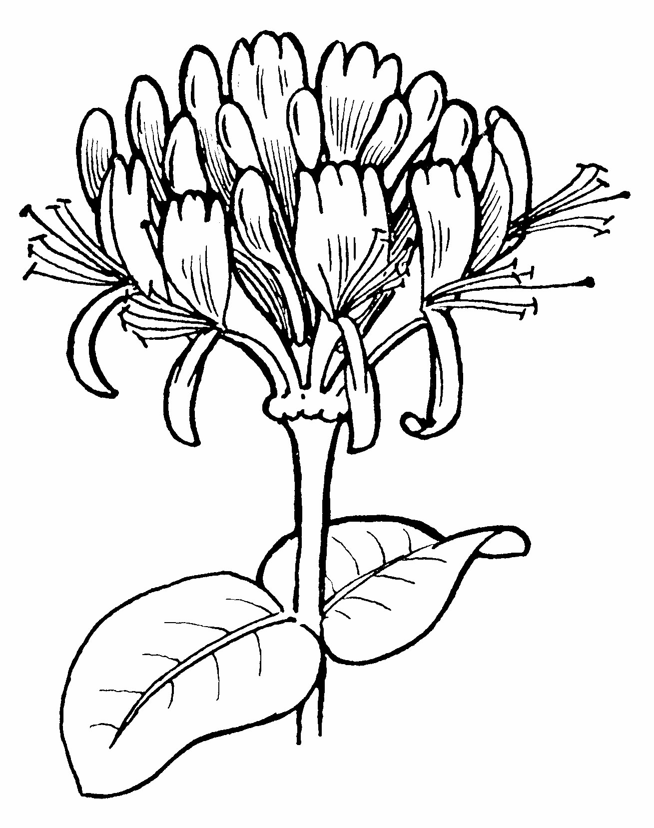 img7.png