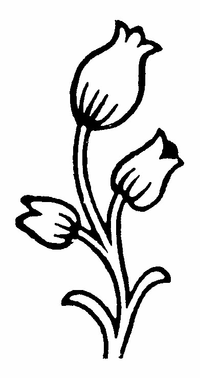 img8.png