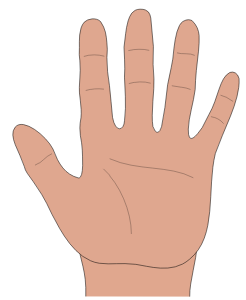 img6.png