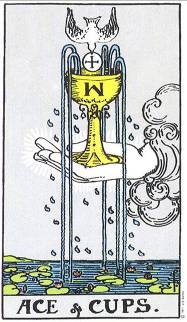 img37.jpg