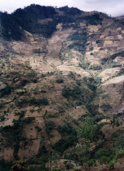 Image 60