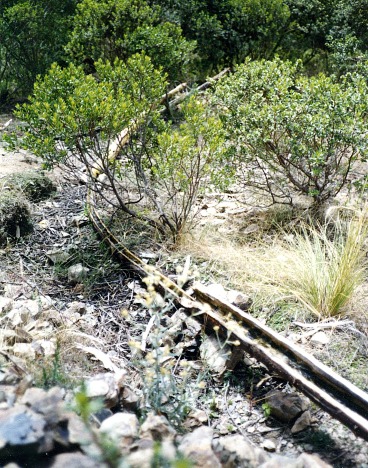 Image 62