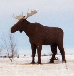 Image 95