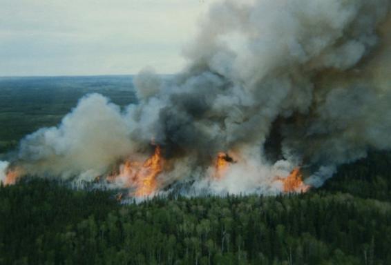 Image 37