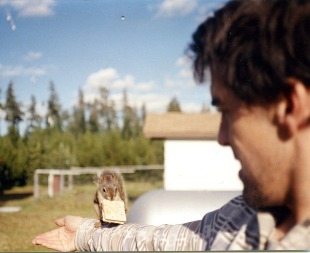 Image 41