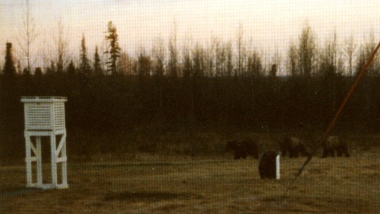 Image 43