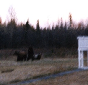 Image 44