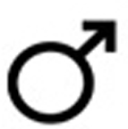 img7.jpg