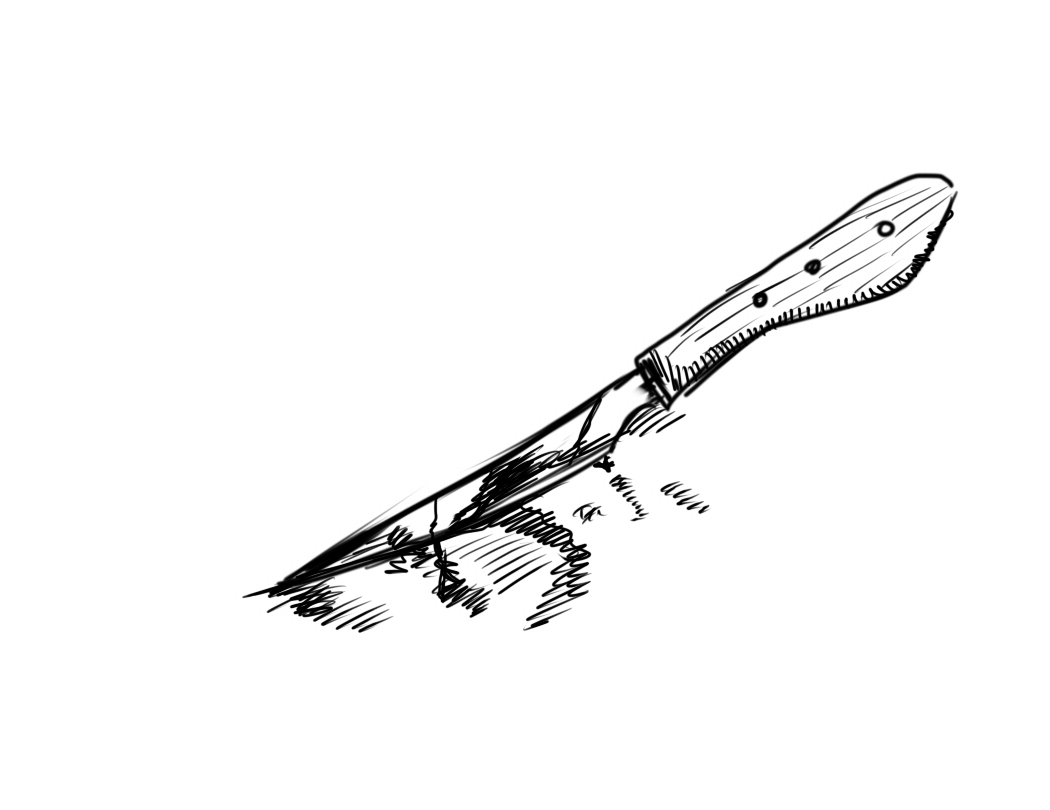 img10.jpg