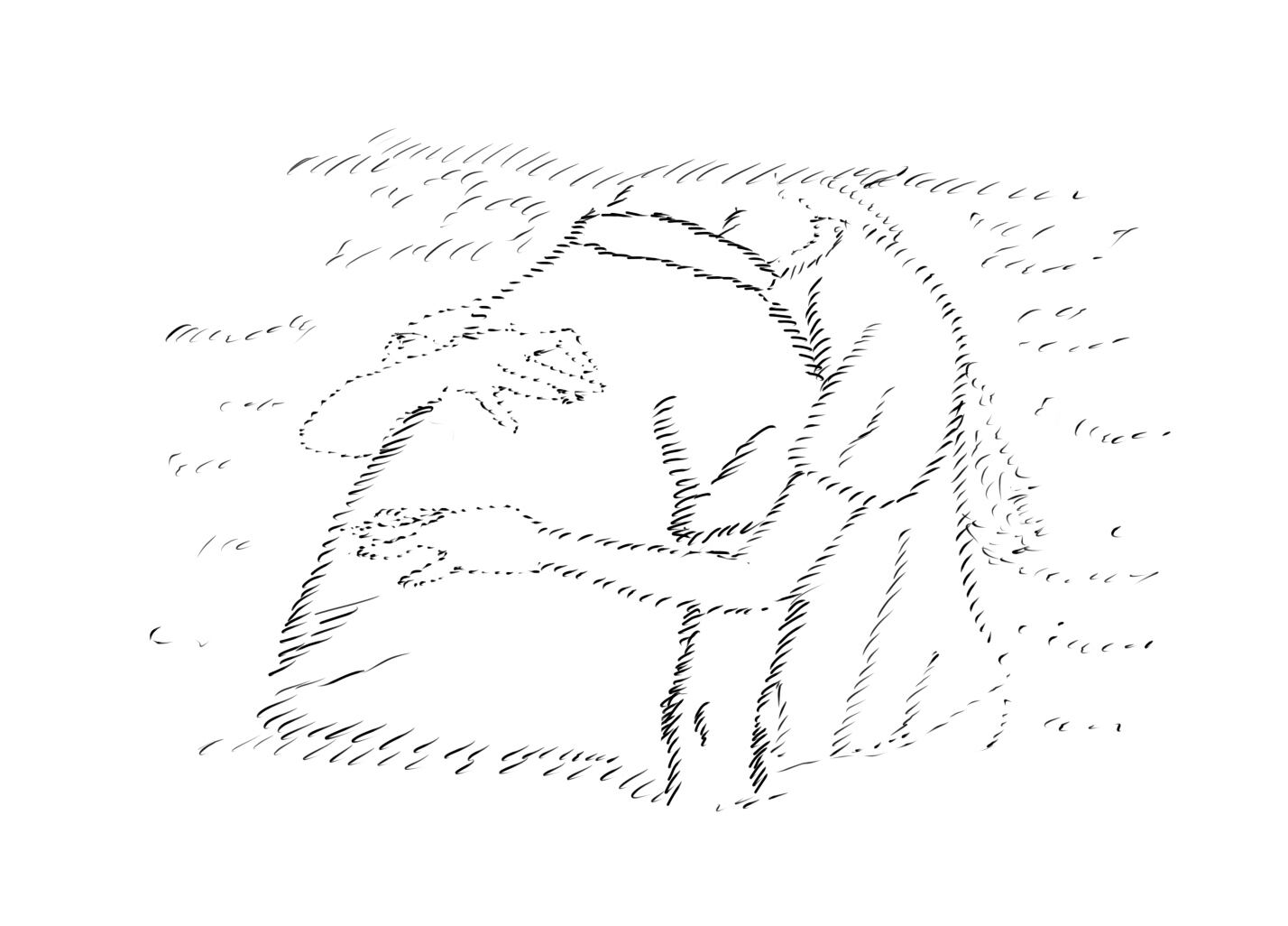 img9.jpg
