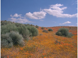 img14.png