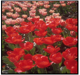 img24.png