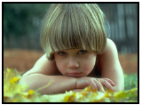 img33.png