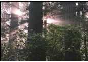 img48.png