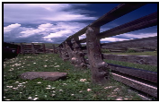 img49.png