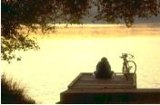 img50.png