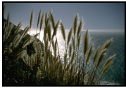 img55.png