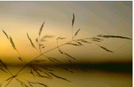 img59.png