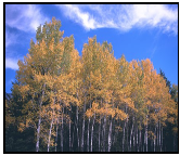 img6.png