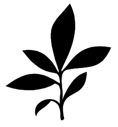 img60.png