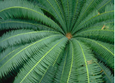 img7.png